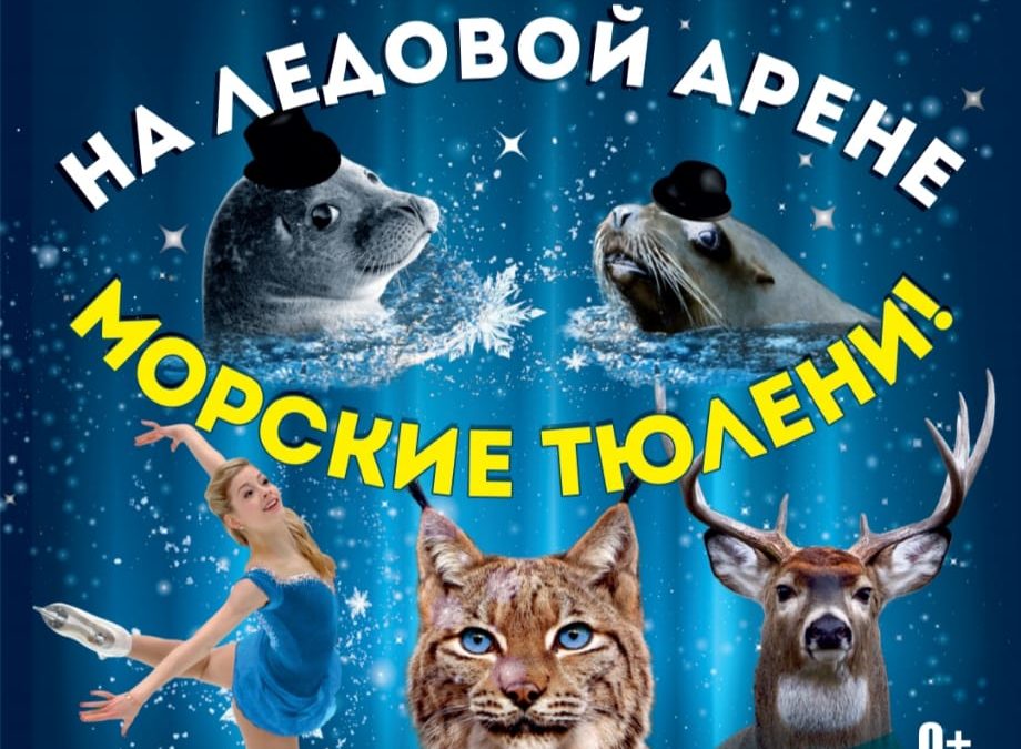 Цирк на льду в Ангарске!