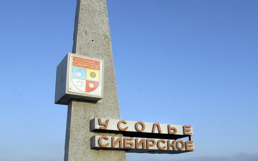 В Усолье-Сибирское собаки насмерть загрызли мужчину