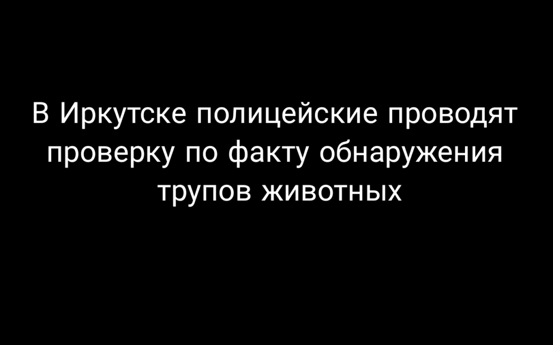 Иркутские полицейские проводят проверку по факту гибели животных