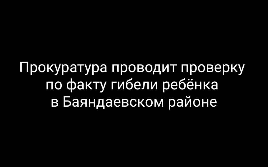 В Баяндаевском районе погиб 11-летний школьник