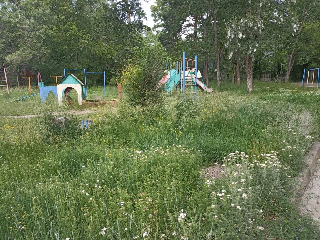 Ангарчане жалуются на состояние дворов в Старом городе