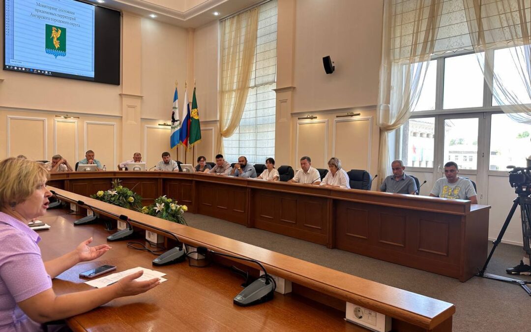 Общественная палата контролирует состояние дворов в Ангарске