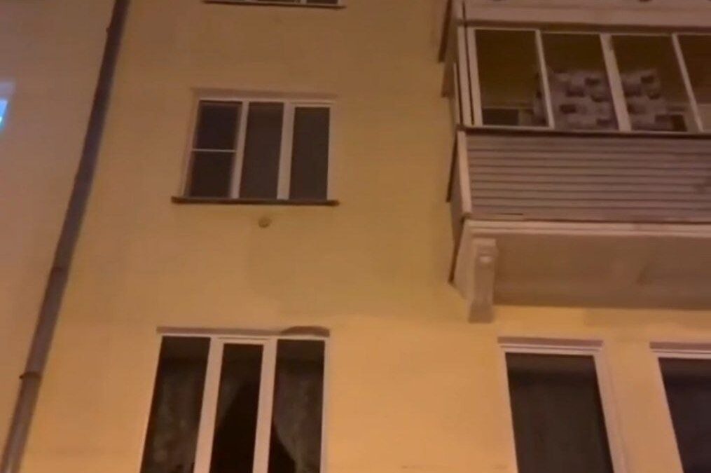 Собаку выбросили из окна в Ангарске