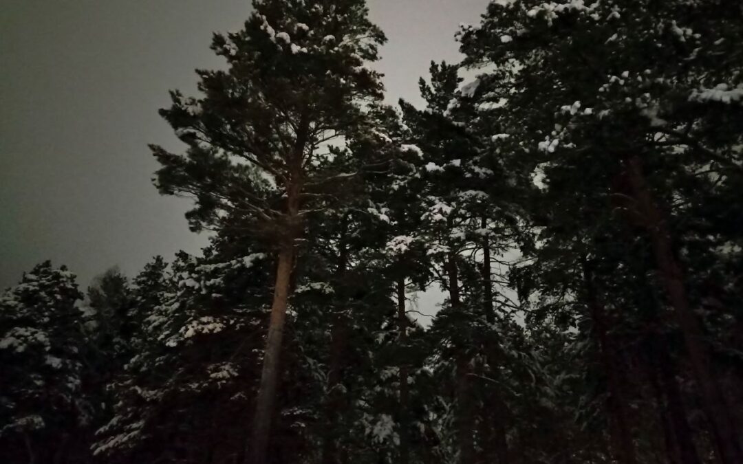 Прогноз погоды в Ангарске на пятницу, 29 ноября