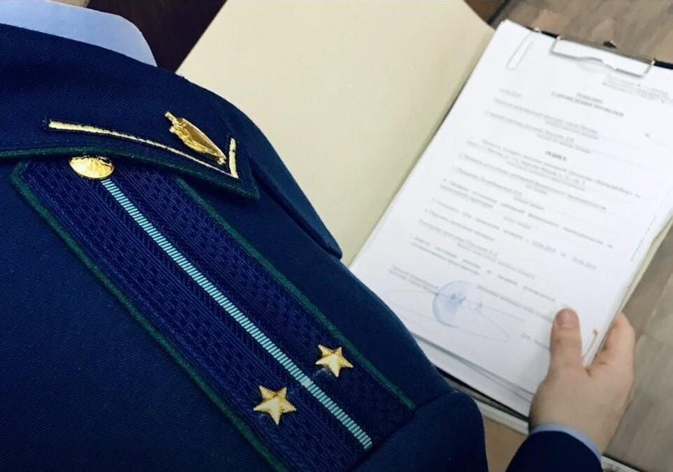В Шелехове бездомная собака напала на ребёнка