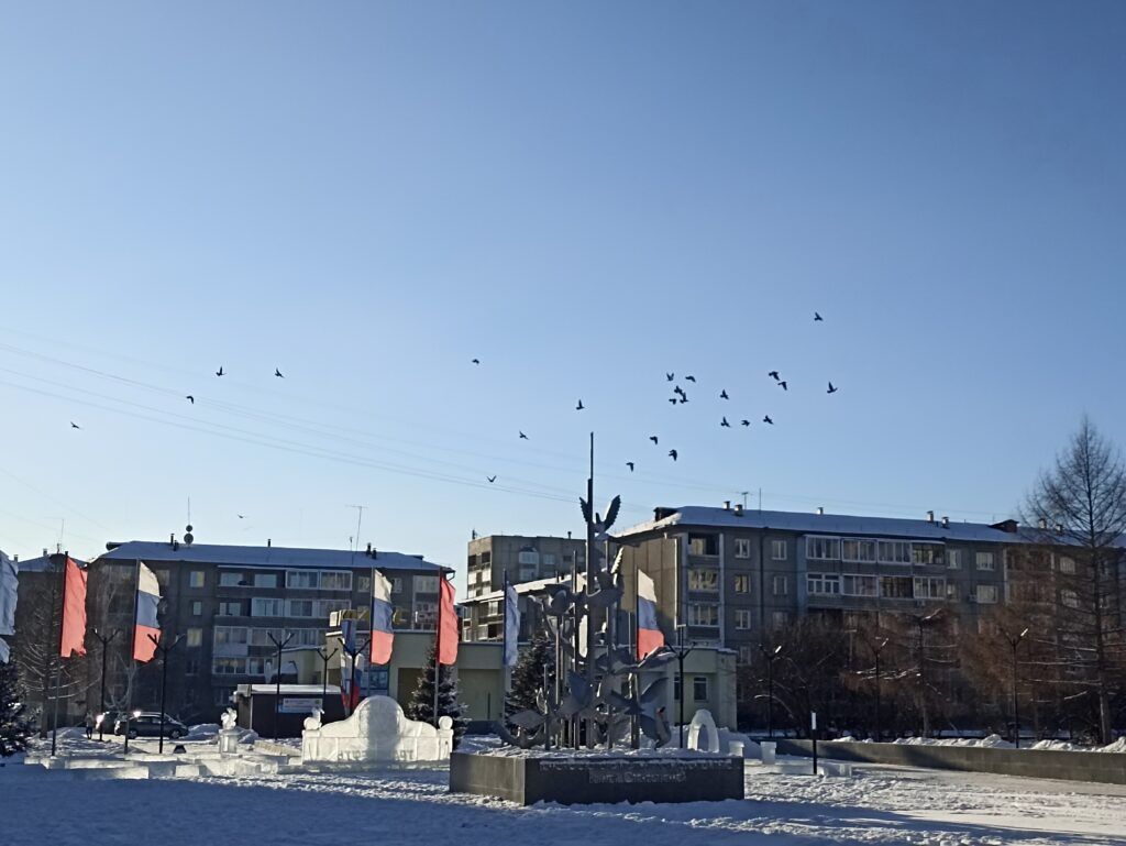 В Ангарске появились новые камеры видеонаблюдения