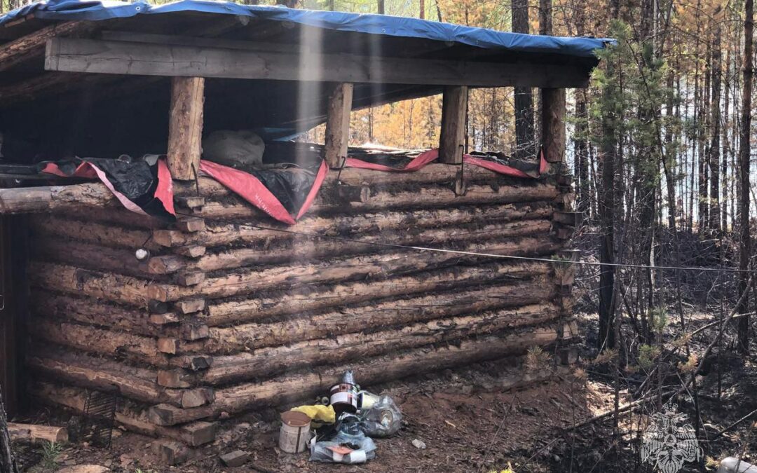 В Иркутской области суд вынес приговор виновным в лесных пожарах