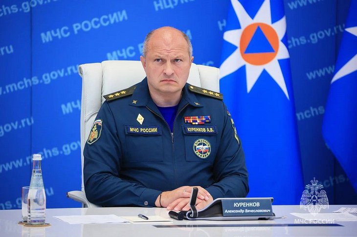 Глава МЧС России поручил потушить лесные пожары в Приангарье к 27 июля