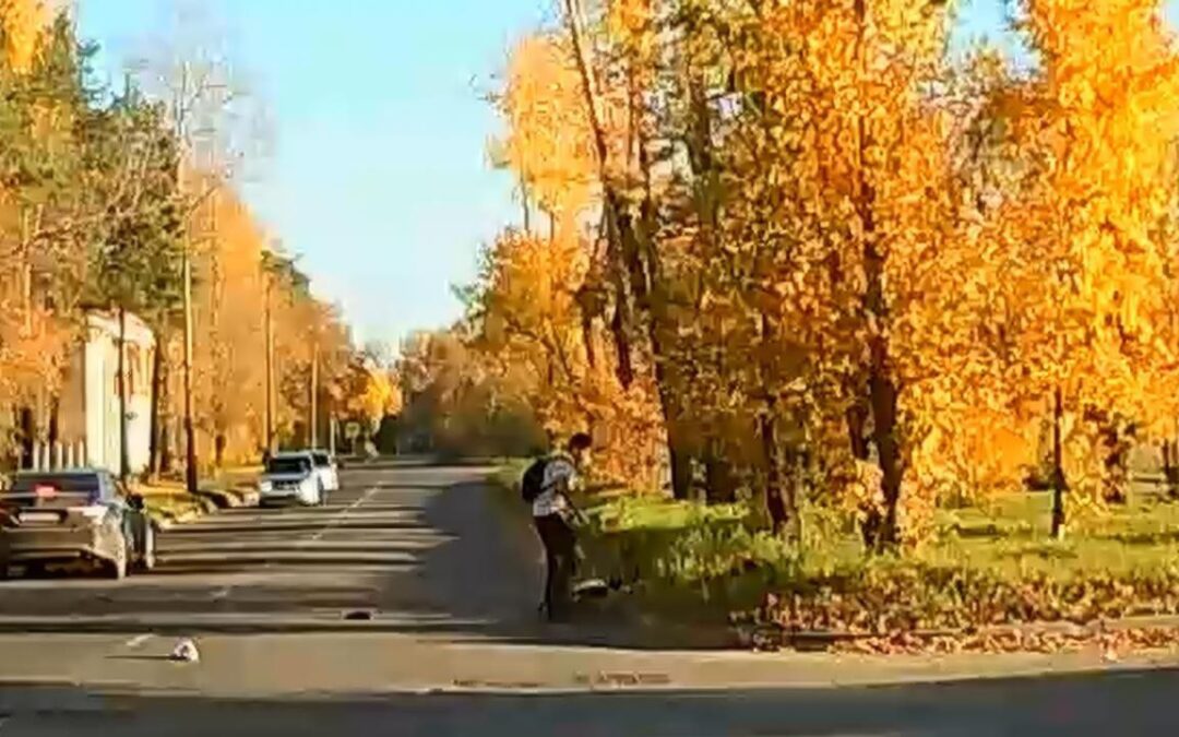 В Ангарске разыскивают велосипедиста, скрывшегося с места ДТП