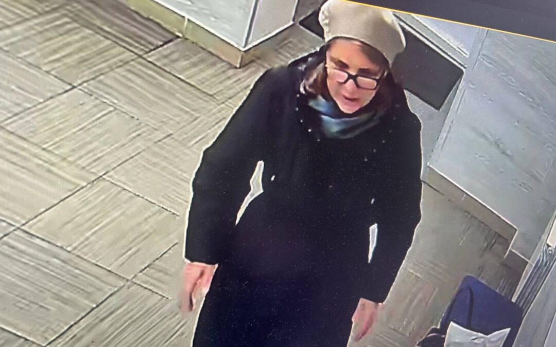 Ангарские полицейские разыскивают женщину, возможно, причастную к хищению имущества