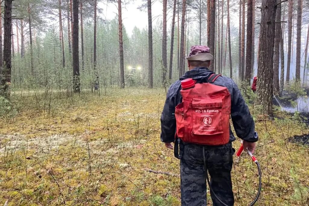 Лесной пожар был потушен накануне в Ангарском округе