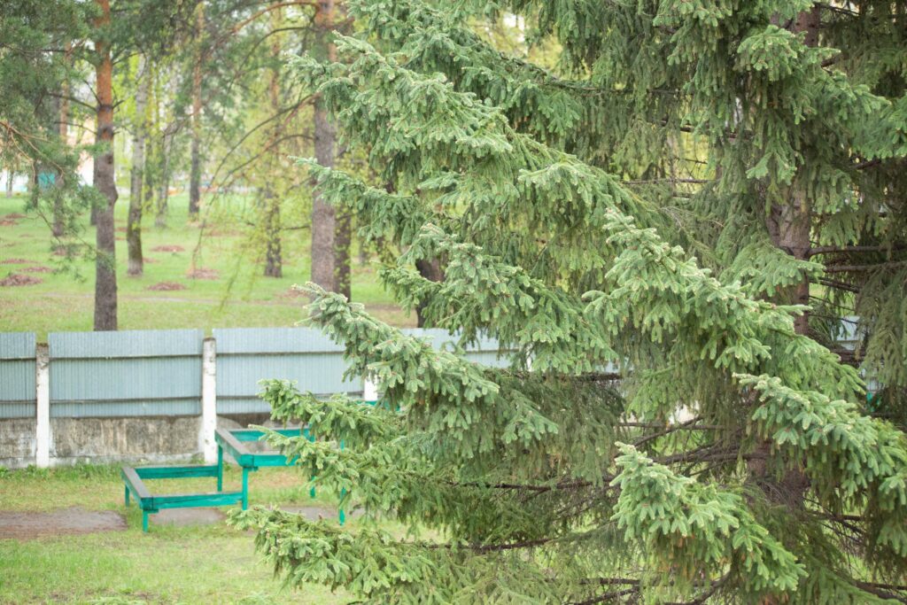 Прогноз погоды в Ангарске на выходные, 16 и 17 мая