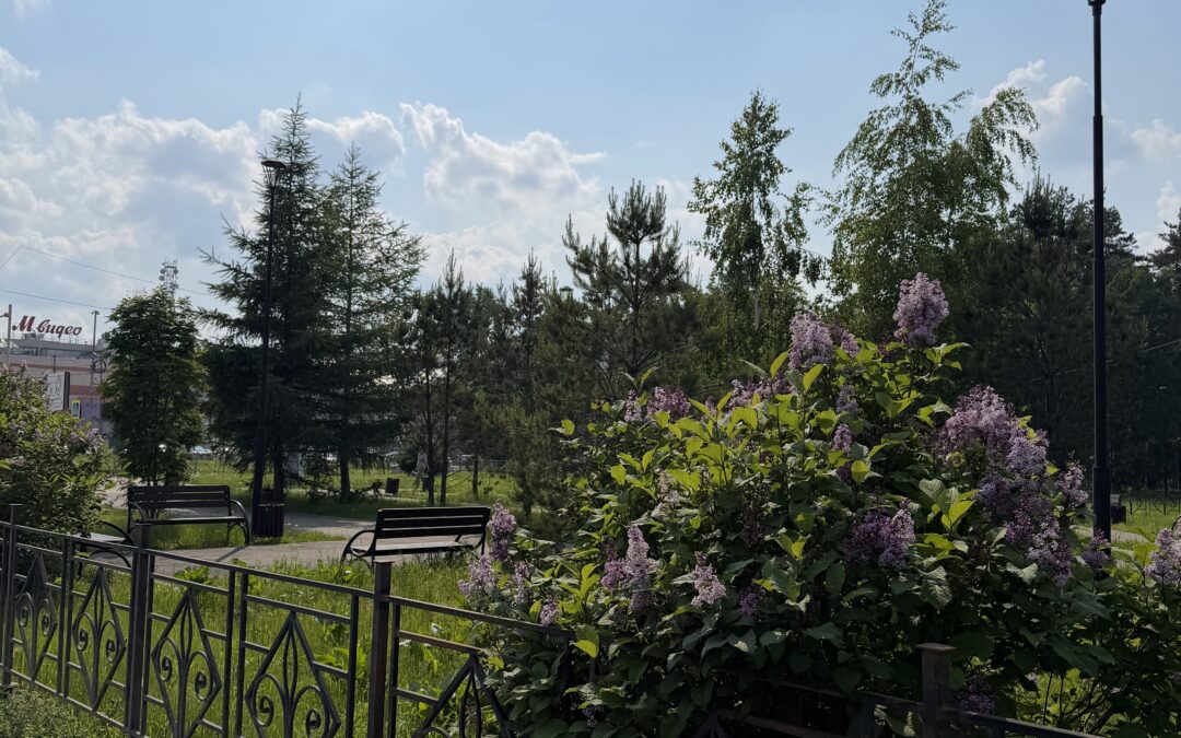 Прогноз погоды в Ангарске на вторник, 16 июня