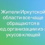 Жители Иркутской области все чаще обращаются в мед.организации из-за укусов клещей