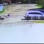 В Черемхово полицейский спас ребенка от стаи собак