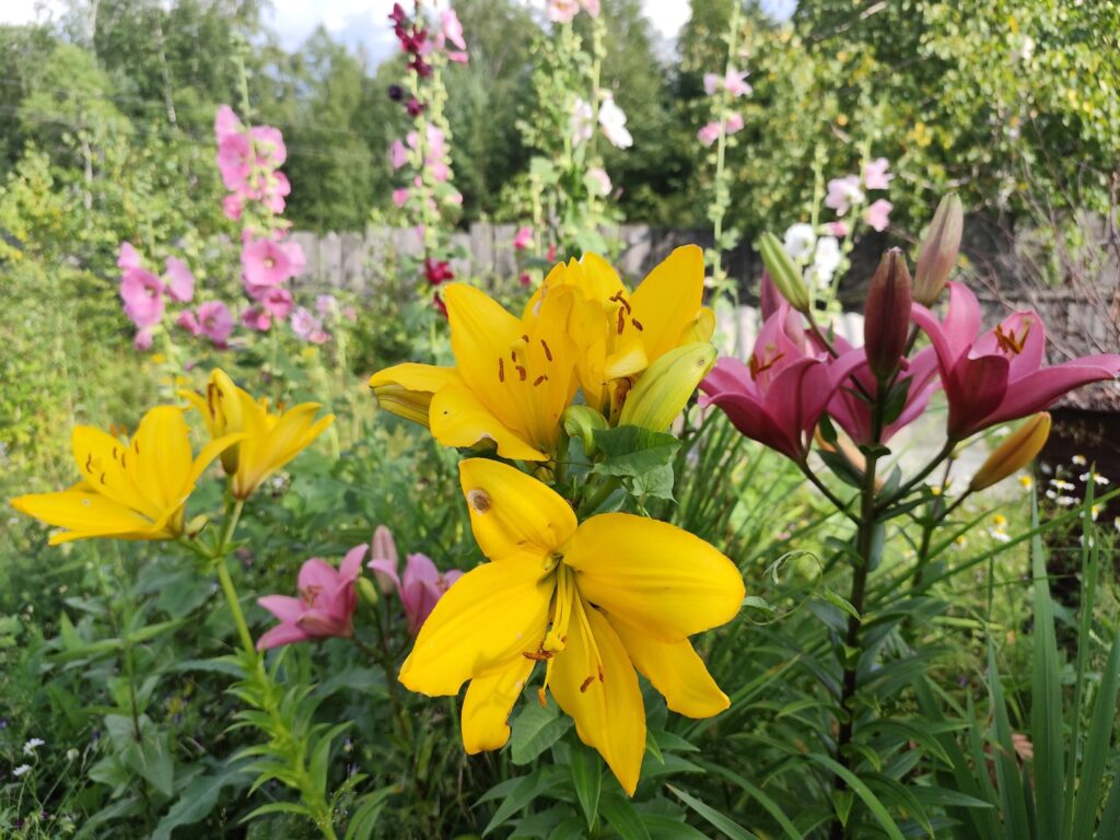 Прогноз погоды в Ангарске на четверг, 6 августа