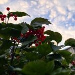 Прогноз погоды в Ангарске на пятницу, 25 сентября