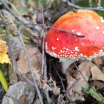 Прогноз погоды в Ангарске на среду, 2 сентября