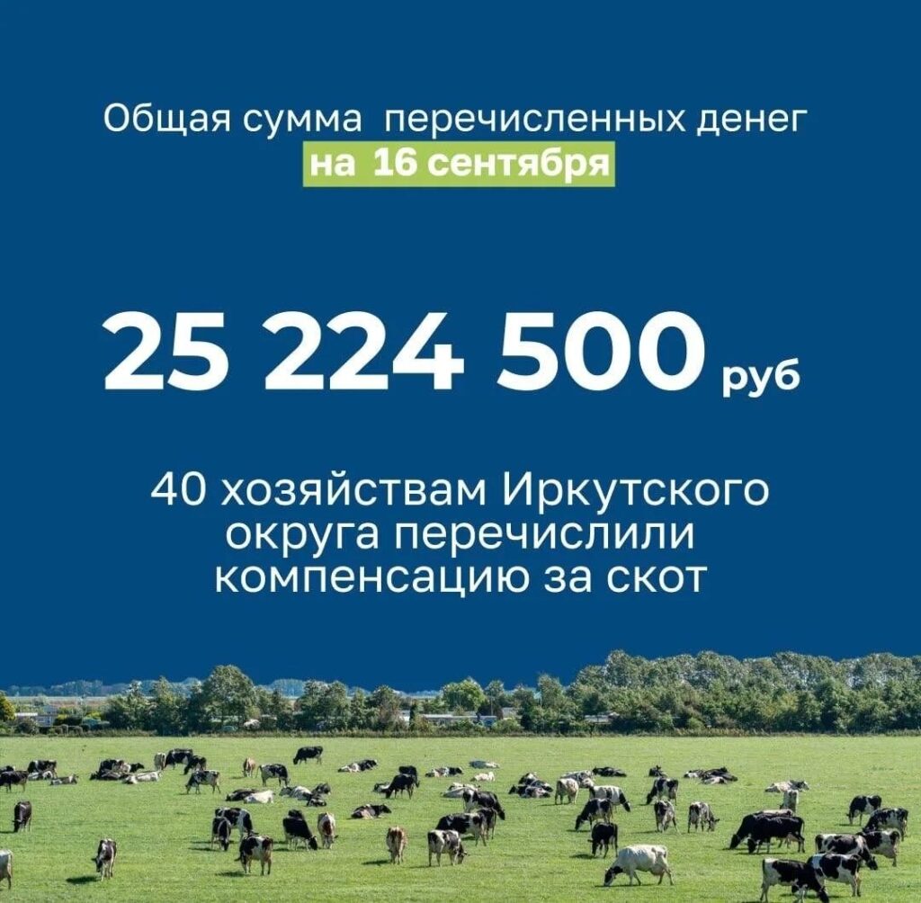 Жителям Иркутского округа возместят расходы на изъятый скот