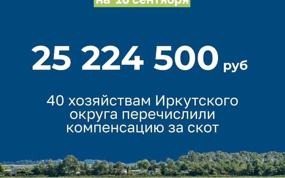 Жителям Иркутского округа возместят расходы на изъятый скот