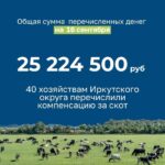 Жителям Иркутского округа возместят расходы на изъятый скот