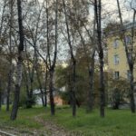 Прогноз погоды в Ангарске на пятницу, 11 сентября