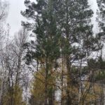 Прогноз погоды в Ангарске на пятницу, 2 октября