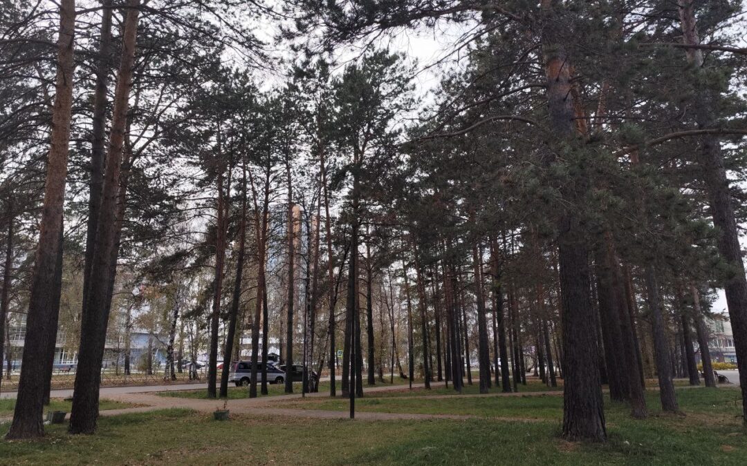 Прогноз погоды в Ангарске на выходные, 24 и 25 октября