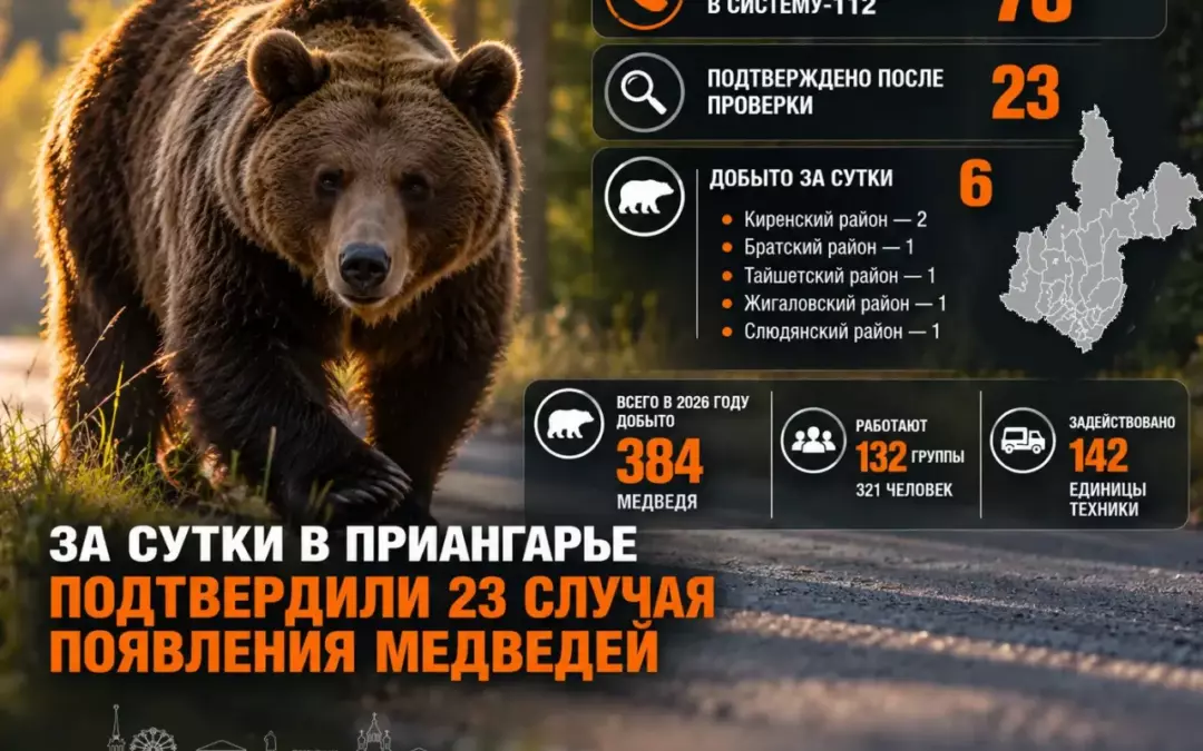 В Иркутской области поступает все больше сообщений о выходах медведей