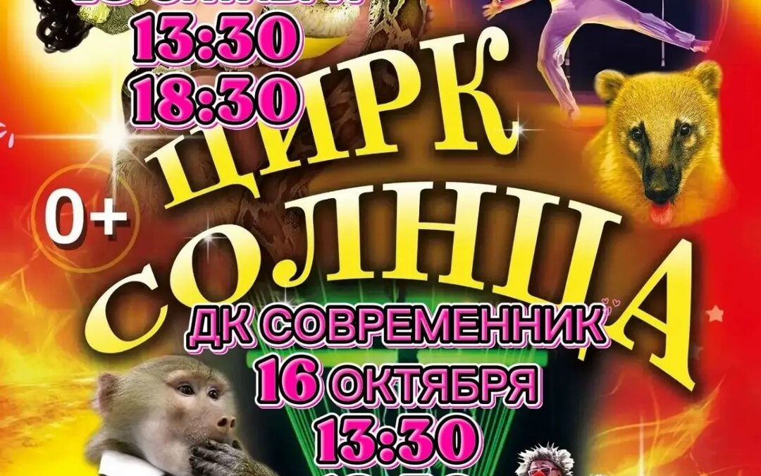 Театрально-цирковое шоу “Цирк Солнца”