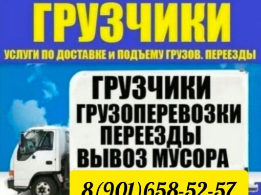 1000039533-3